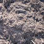 bulk bark mulch